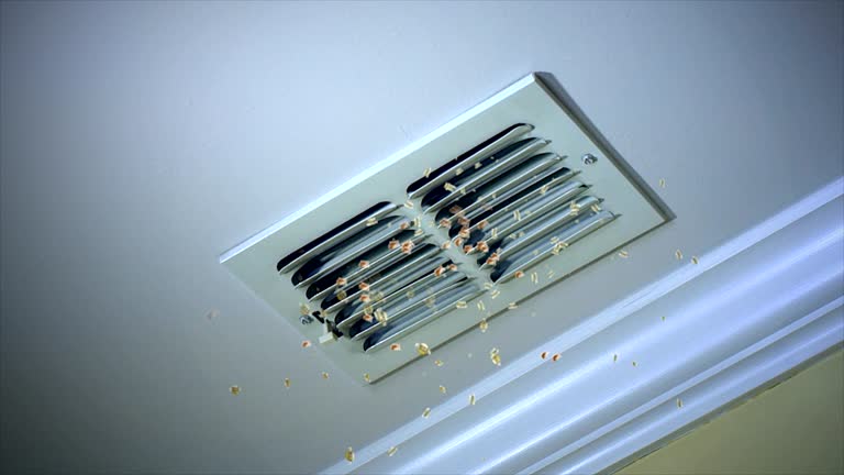 Best Emergency Air Duct Cleaning  in Acres Green, CO