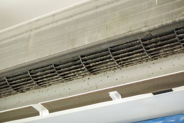 Best Air Duct Sanitizing Services  in Acres Green, CO