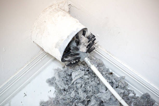 Best Professional Duct Cleaning Services  in Acres Green, CO